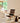 Natural Teak / San Geronimo Pattern