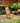 Sealed Teak